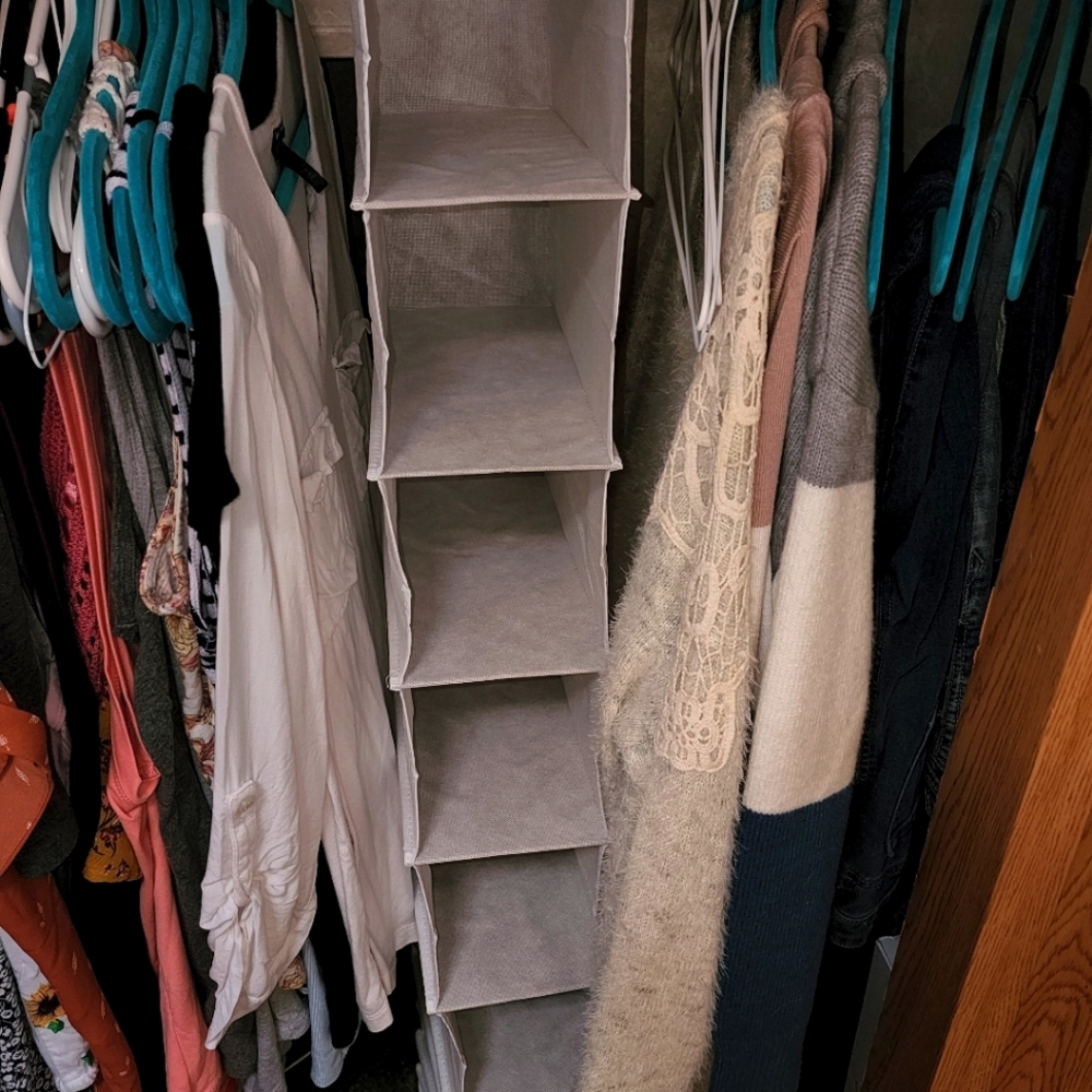 Closet shoe hanger